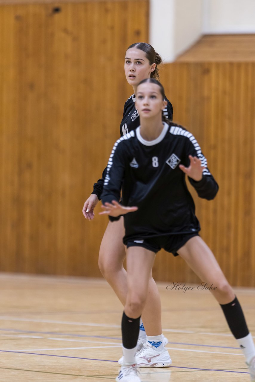 Bild 74 - wBJ TSV Ellerau - HSG Schue/We/Re : Ergebnis: 23:15